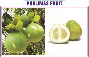 Publimas Fruit